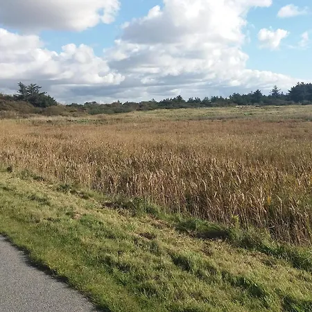 Semesterbostad 5 Person In Ringkobing Søndervig